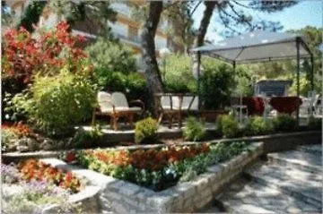 Olympic 3* Milano Marittima